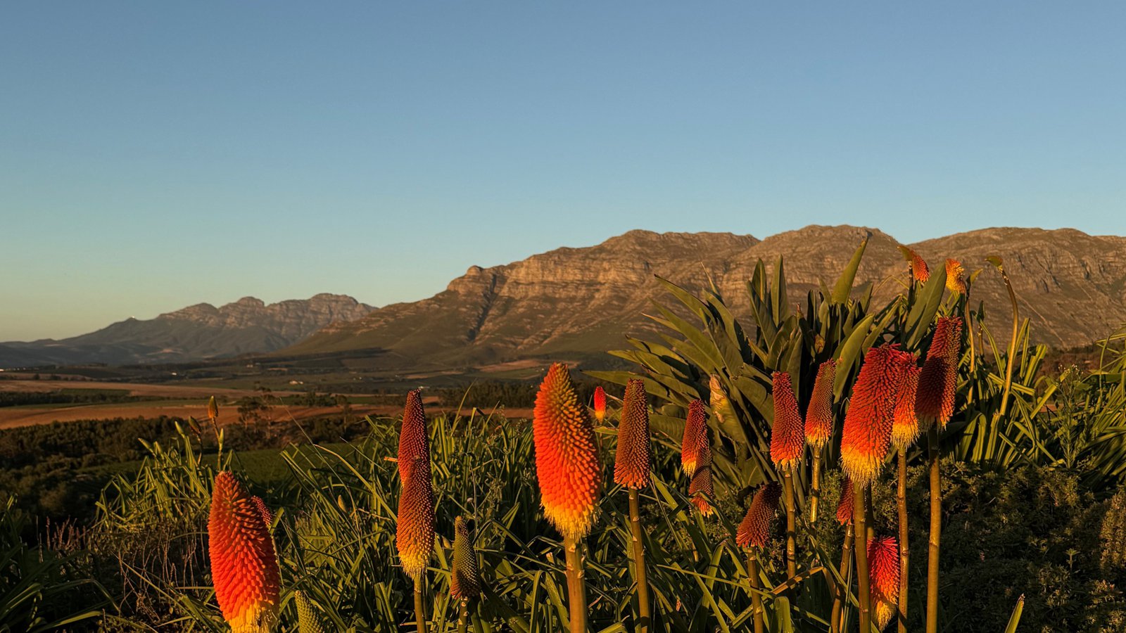 Mountainbike Südafrika - Bike Ferien im Gästehaus 4-Heaven. Erlebe die Schönheit der Natur, flowige Trails wie am Cape Epic und Esskultur auf Top Niveau.